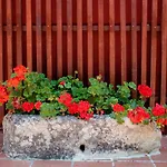 Apartman Quinta De Nova -