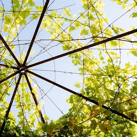 Quinta De Nova - Monção