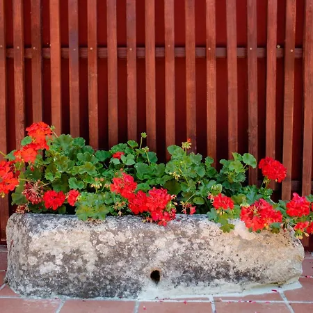 Apartamento Quinta De Nova -