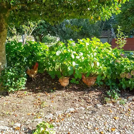 דירה Quinta De Nova -