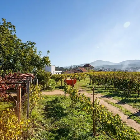 Quinta De Nova - * Moncao