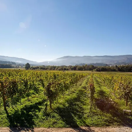 Apartment Quinta De Nova -