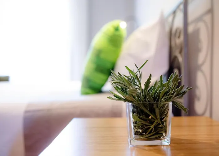 Quinta De Nova - * Monção