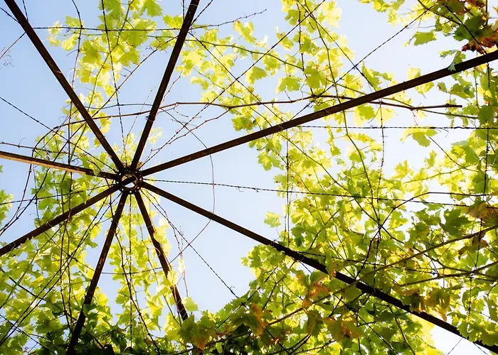 Quinta De Nova - Monção