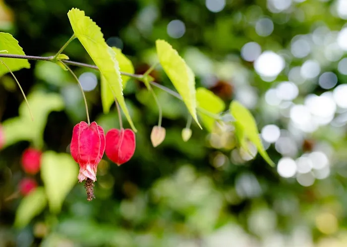 Quinta De Nova - アパート