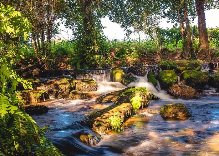 Quinta De Nova - Apartamento *