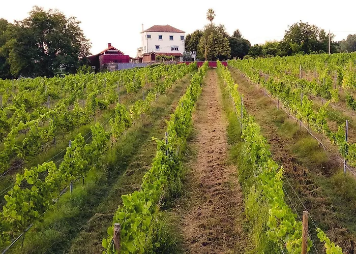 Quinta De Nova - Monção