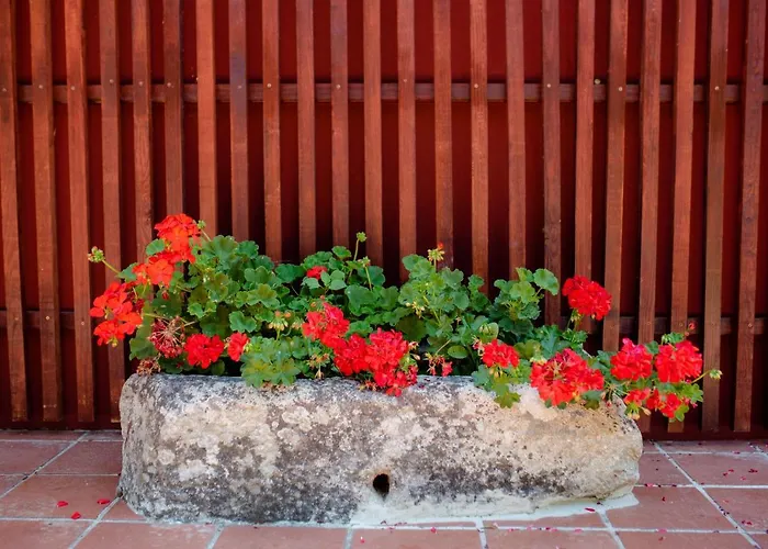 Apartamento Quinta De Nova -