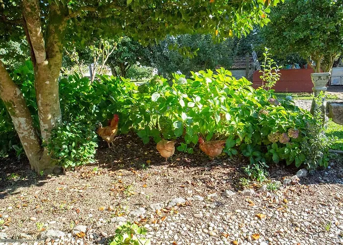 Daire Quinta De Nova -