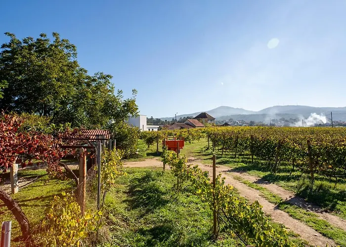 Quinta De Nova - * Monção