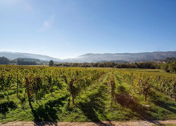 Daire Quinta De Nova -